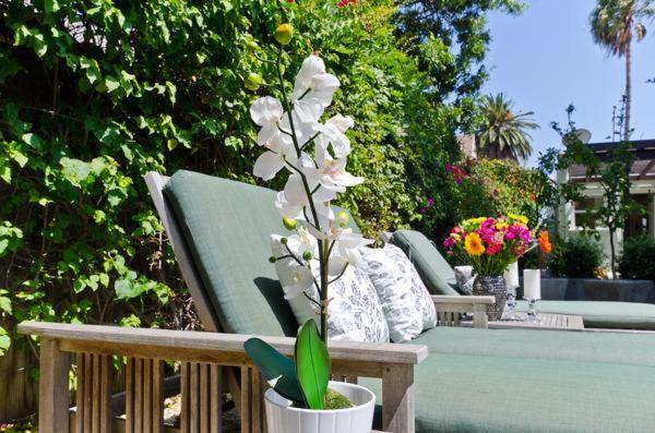 Venice One Bedroom Artist Appartement *